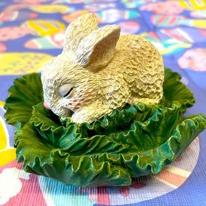 Cute Bunny Asleep in the Cabbage